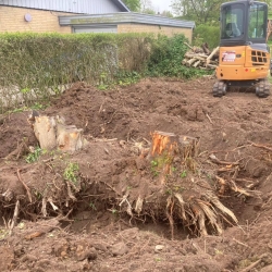 Ejendomsservice fjernelse af rødder