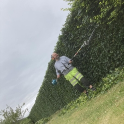 Ejendomsservice hækklipning