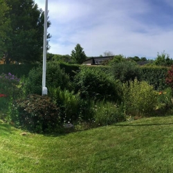 Ejendomsservice i haven