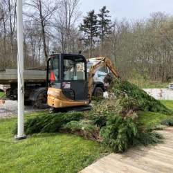 Ejendomsservice oprivning af træer