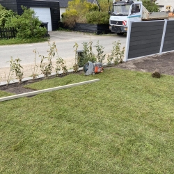 haveanlæg af hæk og plæne