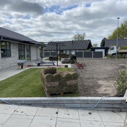 haveanlæg lægning af græs