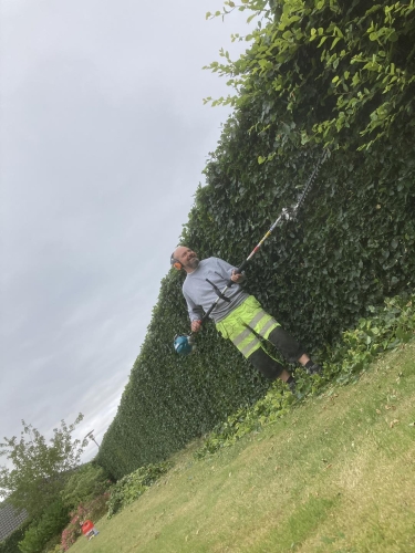 Ejendomsservice hækklipning