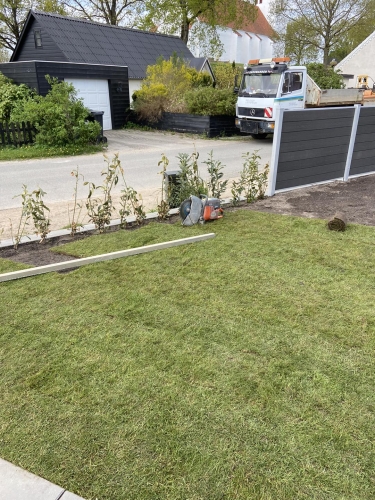 haveanlæg af hæk og plæne