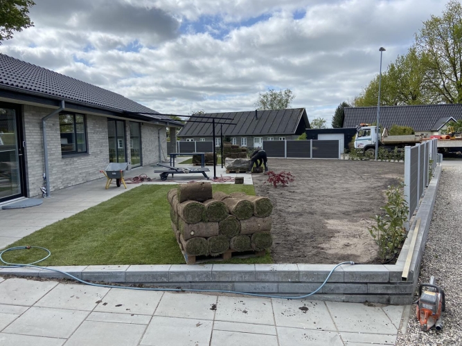 haveanlæg lægning af græs