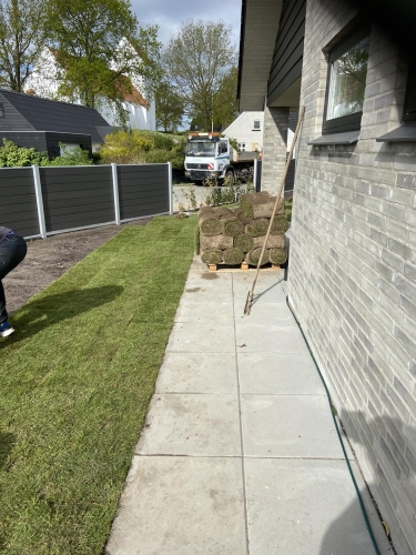 haveanlæg ny græsplæne