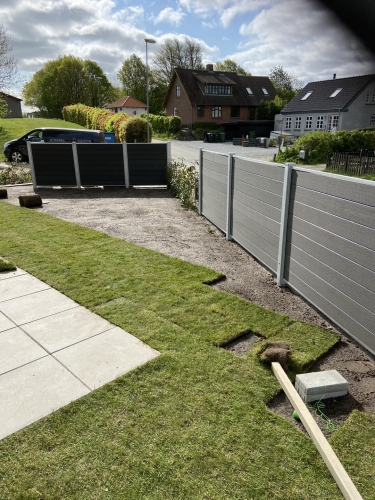 haveanlæg nyt græs